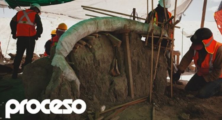 Mamuts en el aeropuerto: El yacimiento más rico en América Latina