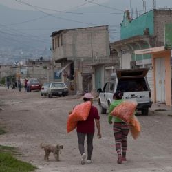 Ante desaparición del Coneval, nace el Consorcio por la Medición y la Evidencia