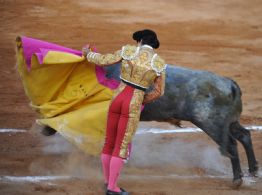 Toros, medios de comunicación, violencia