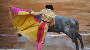 Toros, medios de comunicación, violencia