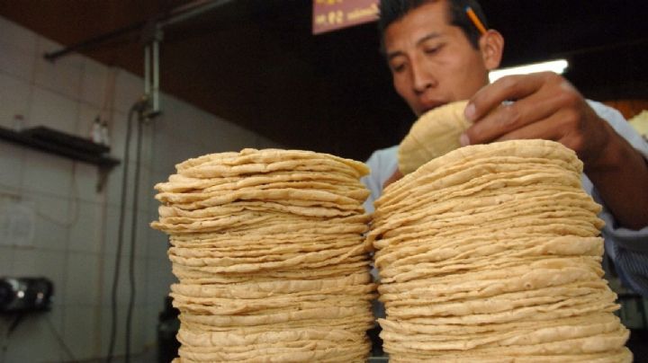 Sheinbaum firma acuerdo para evitar que aumente el precio de la tortilla