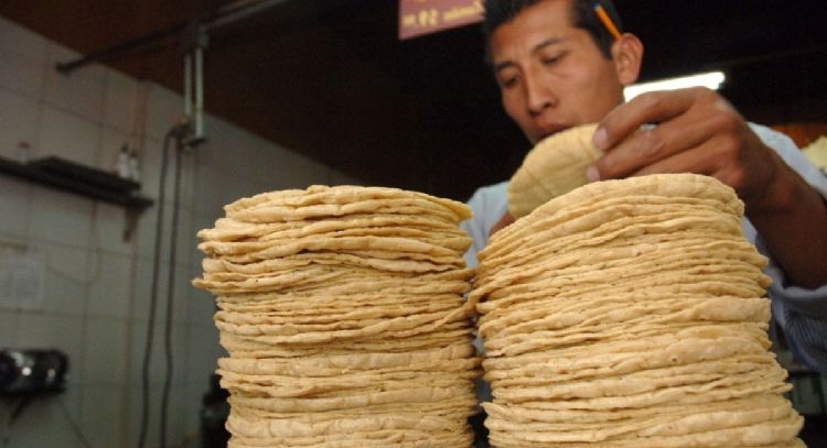Sheinbaum firma acuerdo para evitar que aumente el precio de la tortilla