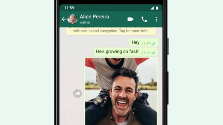 WhatsApp crece pese a sus nuevas condiciones de uso pero Telegram y Signal repuntan sus descargas un 98 y un 1200%