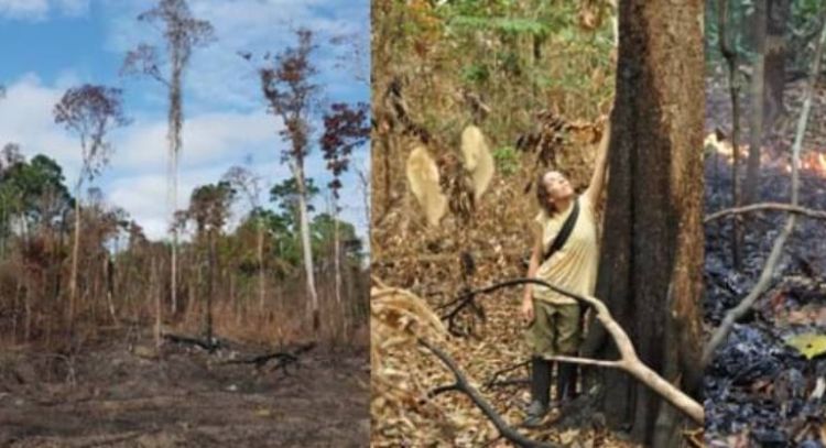El Niño transformó un sector de la Amazonia en gran emisor de carbono