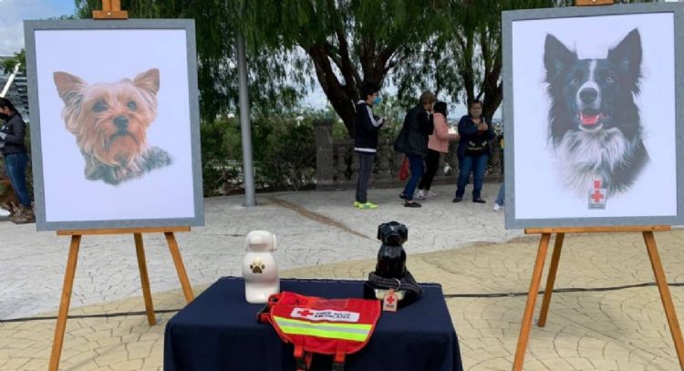 Tribunal busca reducir la pena al sujeto que envenenó a los perros rescatistas Athos y Tango