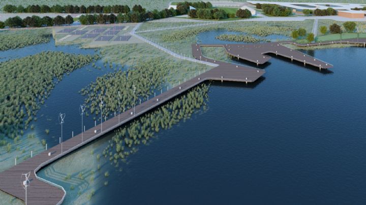 El lago de Texcoco será área natural protegida; anuncian que ya arrancó el proceso legal