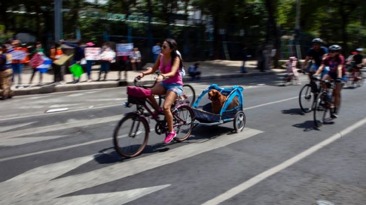 Por marcha en defensa del INE, así será el Paseo ciclista del domingo en la CDMX