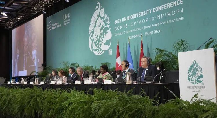 Conferencia ONU logra un acuerdo histórico de biodiversidad