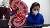 Foto ilustrativa de la nota titulada: La enfermedad renal crónica será la quinta causa de muerte en el mundo
