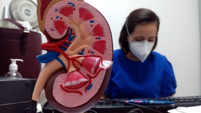 La enfermedad renal crónica será la quinta causa de muerte en el mundo