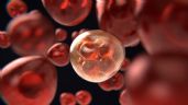 Investigadores usarán nanoanticuerpos para combatir infecciones por hongos a niños con cáncer