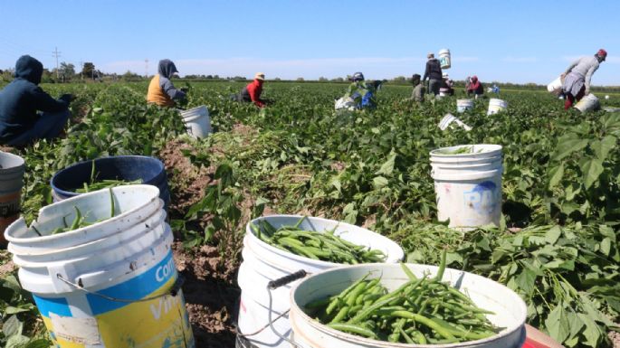 Trump podría exentar algunos productos agrícolas de los aranceles