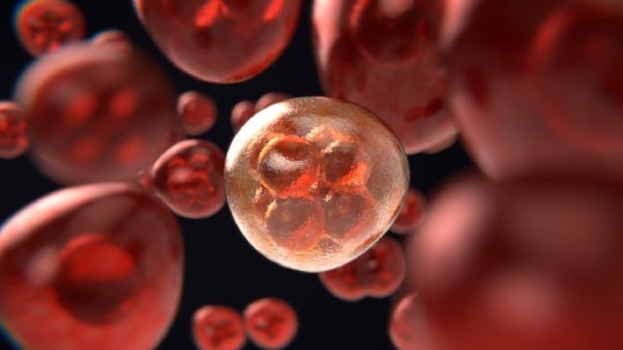 Investigadores usarán nanoanticuerpos para combatir infecciones por hongos a niños con cáncer