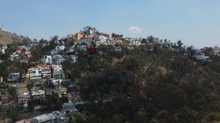 Los gerentes del abandono: La desprotección institucional del Bosque de Los Remedios