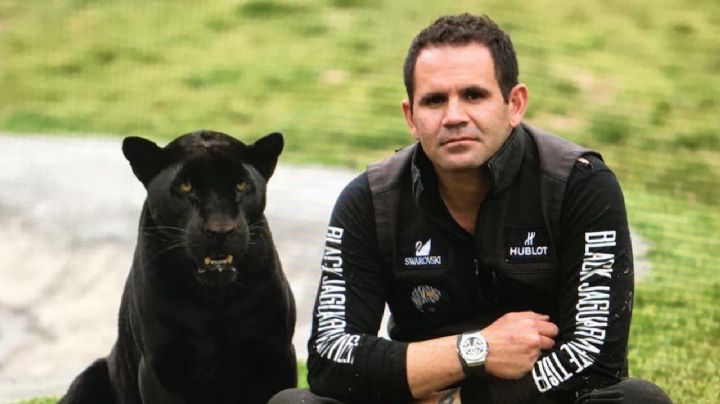 Schnoodle, Hublot y Swarovski: estos son los socios y patrocinadores de Black Jaguar-White Tiger