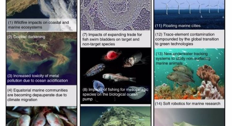Conoce cuáles son la 15 amenazas a la biodiversidad marina y costera