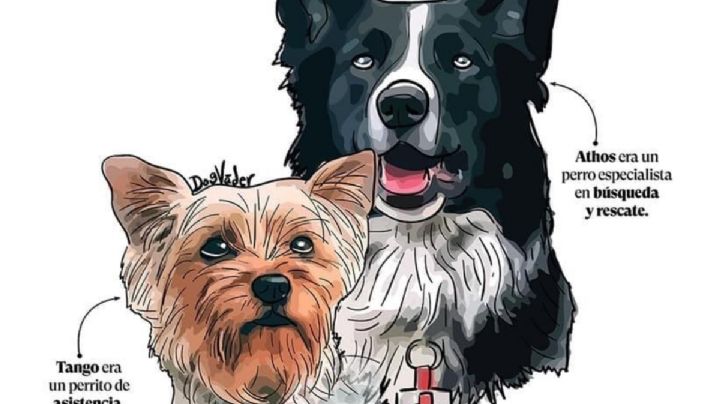 SCJN perfila avalar reducción de sentencia a hombre que envenenó a Athos, Tango y Balam