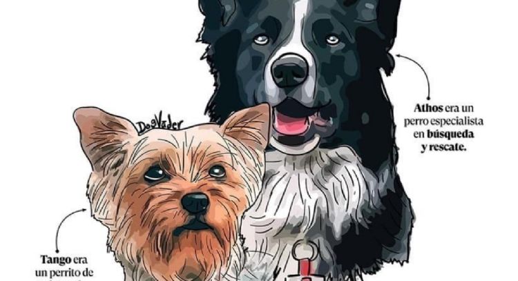 SCJN perfila avalar reducción de sentencia a hombre que envenenó a Athos, Tango y Balam