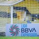 Tribunal Arbitral Deportivo confirma demanda a la FMF por equipos de la Liga de Expansión