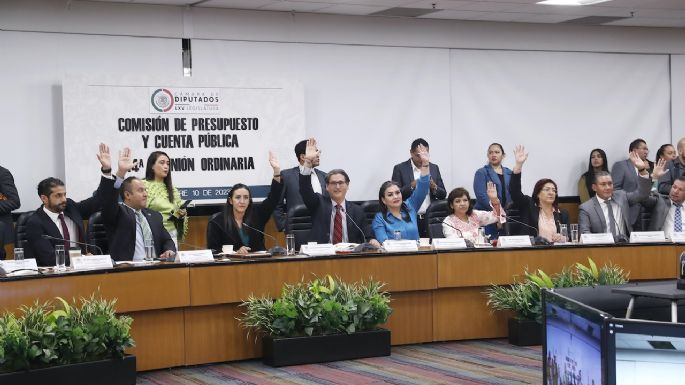Avanza la eliminación de fideicomisos del Poder Judicial; “el Plan C está en marcha”: Morena