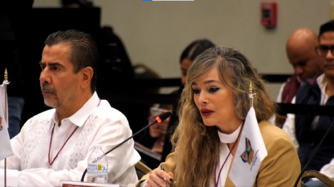 XXIX Asamblea Plenaria de la Conferencia Nacional de Secretarias y Secretarios de Seguridad Pública