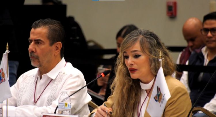 XXIX Asamblea Plenaria de la Conferencia Nacional de Secretarias y Secretarios de Seguridad Pública