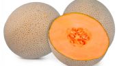 EU y Canadá atribuyen a melón mexicano la muerte de ocho personas por salmonelosis
