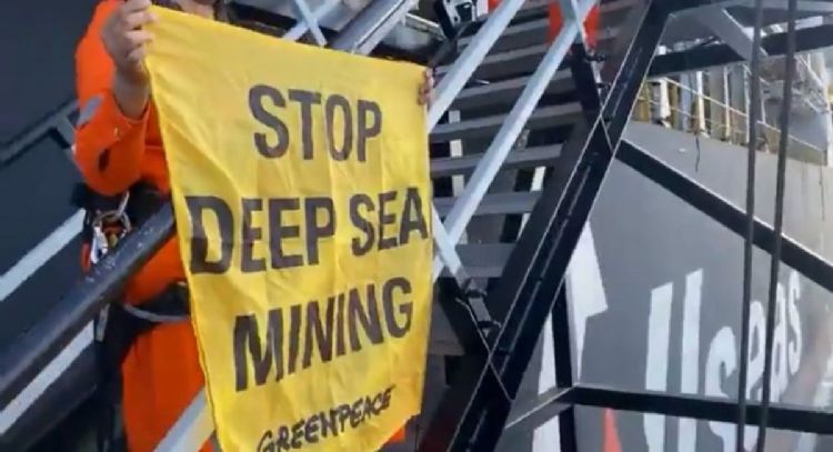 Minería en aguas profundas: La codicia amenaza el último refugio oceánico