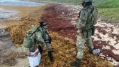Militares descubren 20 kilos de cocaína entre el sargazo de una playa en Quintana Roo
