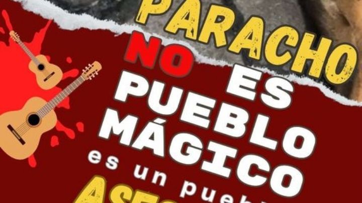 CEDH Michoacán investigará presunta matanza masiva de perros callejeros en Paracho