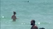 Advierten sobre tiburones en playas de Florida tras ataques recientes