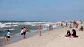 Esto harán en Nueva York ante la creciente presencia de tiburones en sus playas
