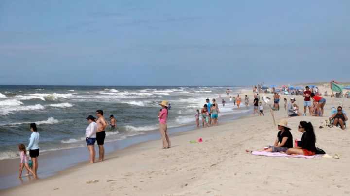 Esto harán en Nueva York ante la creciente presencia de tiburones en sus playas