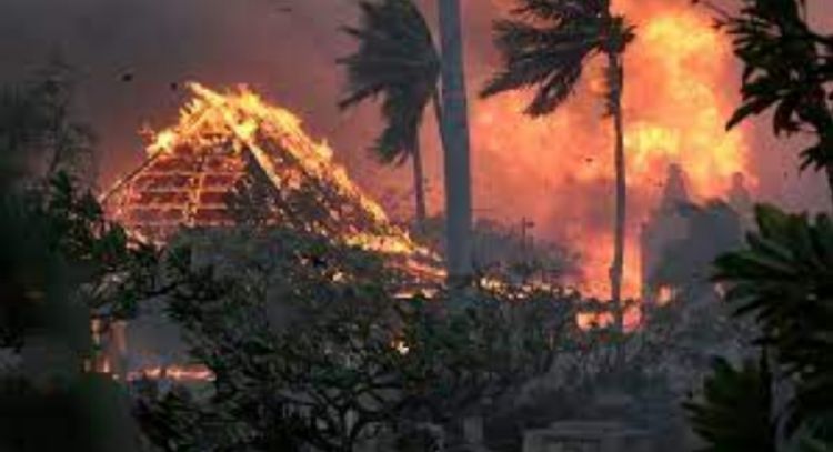 Mejorar la calidad del aire aumenta los incendios forestales
