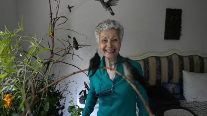 Mexicana convierte su casa en un hospital para colibríes