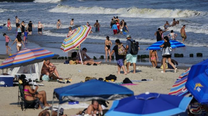 Tiburón ataca a una mujer en una playa de Nueva York