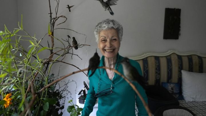 Mexicana convierte su casa en un hospital para colibríes