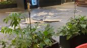Foto ilustrativa de la nota titulada: Estruendo en Parque Delta alerta a paseantes; un plafón cayó del segundo piso (Videos)