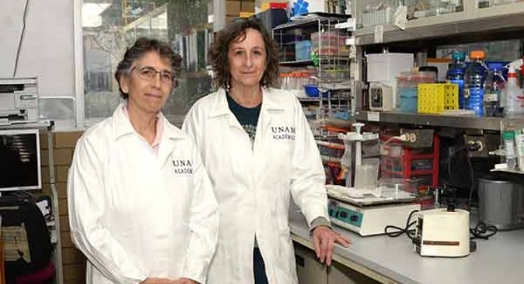 Desarrollan en la UNAM molécula contra el cáncer de mama