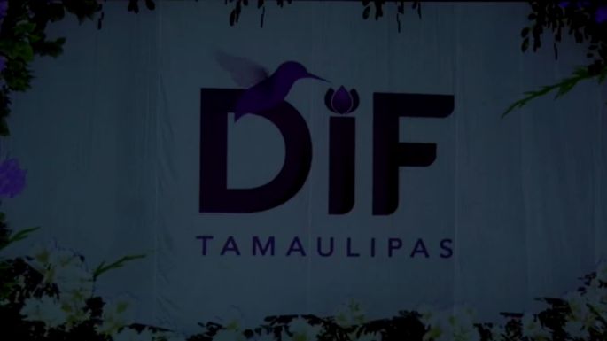 Primer Informe de Actividades "la paz es el camino y tú eres el reflejo"