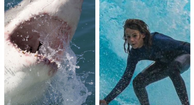 Surfista australiano Khai Cowley murió tras ser atacado por un tiburón