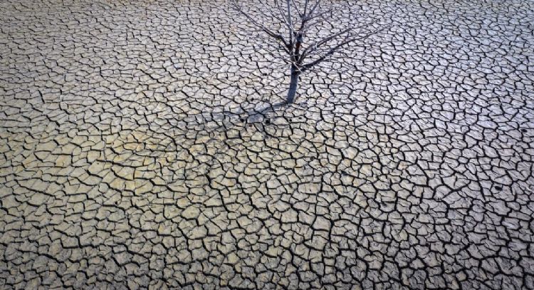 El 2023 fue el año más caluroso en la historia del planeta