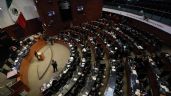 Senado emite la convocatoria para titular de la CNDH; Rosario Piedra Ibarra puede reelegirse
