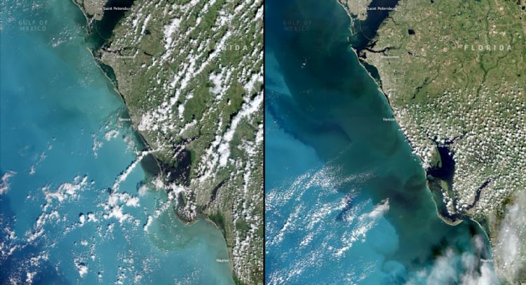 Copernicus elige como imagen del día la costa oeste de Florida antes y después del huracán 'Milton'