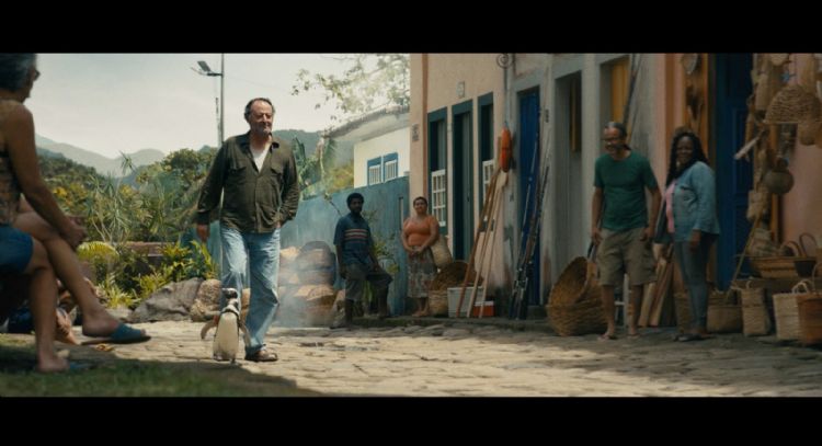 “Mi amigo el pingüino”, estreno en México y 40 países