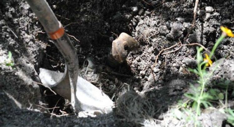 Las 17 vÃ­ctimas halladas en fosa de Irapuato fueron asesinadas hace dos meses