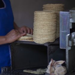 Comisión Antimonopolio libera a las tortillerías de Gruma y abre el mercado a Minsa, de Altagracia Gómez Sierra