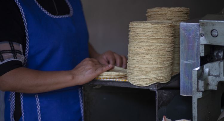 Cofece acusa a Gruma de limitar mercado de harina de maíz; ordena vender cinco plantas de producción