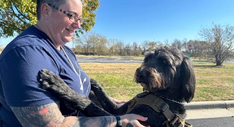 Veteranos de guerra con estrés postraumático mejoran gracias al programa de perros de asistencia