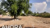 Foto ilustrativa de la nota titulada: Rescata la PAUT predio en Tampico tras retiro de escombros y desechos